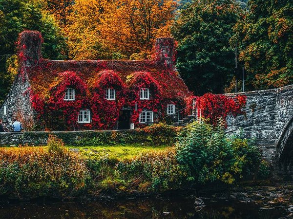 Petit guide pour bien faire fleurir les plantes de sa maison de village